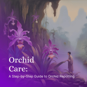 Orchid Care: A Step-by-Step Guide to Orchid Repotting Featured Image